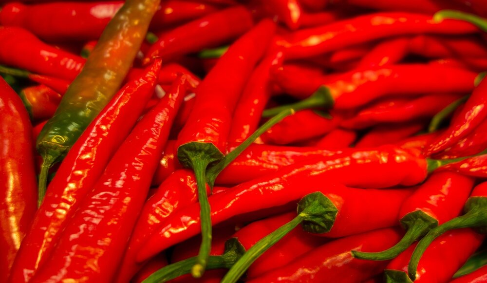 Dry Guntur Red Chillies